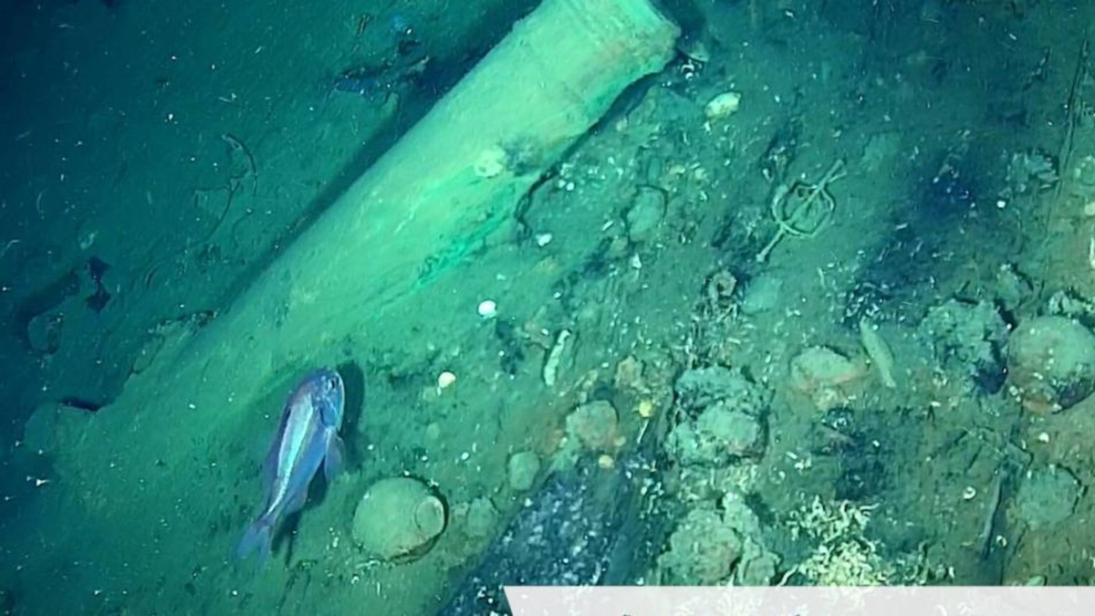 Galeón San José: libertad del cazatesoros más famoso del mundo pondría en riesgo defensa de hallazgos que adelanta Estado ante demanda internacional