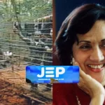 ‘Consuelo Araujo ‘La cacica’ fue secuestrada por las Farc en una ‘pesca milagrosa’ y asesinada por orden del Secretariado de las Farc’, JEP