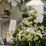 Familia de Kevin Acosta, niño que murió esperando un medicamento para la hemofilia en la Nueva EPS, dio inicio a la demanda contra el Estado