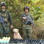 El Ejército destruyó depósito con 100 kilogramos de explosivos: de haber estallado hubieran afectado 200 metros a la redonda en zona de Nariño