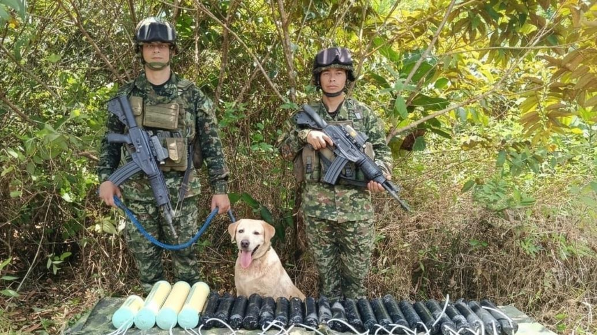 El Ejército destruyó depósito con 100 kilogramos de explosivos: de haber estallado hubieran afectado 200 metros a la redonda en zona de Nariño