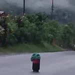 Un cilindro bomba impide la movilidad en la vía al mar de Nariño desde la madrugada: hay temor en las comunidades vecinas