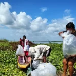 Embalse de El Guájaro recibe 200.000 bocachicos para recuperar la pesca: Atlántico proyecta sembrar 2 millones más