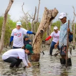 Cartagena: Con bioacústica hacen el diagnóstico vital de manglares y arrecifes de coral en Barú, gracias al proyecto Ecosistema Azul