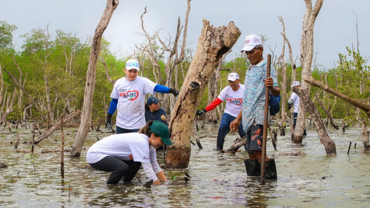 Cartagena: Con bioacústica hacen el diagnóstico vital de manglares y arrecifes de coral en Barú, gracias al proyecto Ecosistema Azul