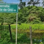 ‘Las denuncias contra el EGC se han convertido en un patrón que ha causado muertes en la región’: Fundación Cordoberxia