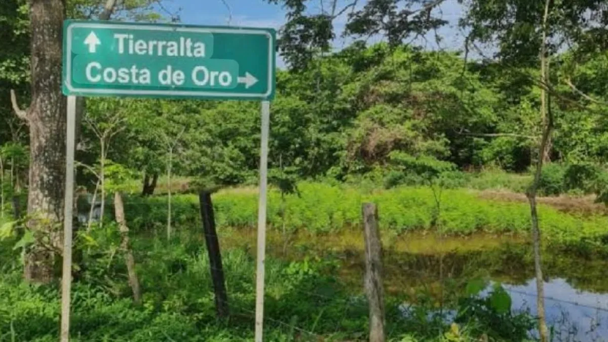 ‘Las denuncias contra el EGC se han convertido en un patrón que ha causado muertes en la región’: Fundación Cordoberxia