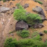 Deslizamiento de tierra compromete la estabilidad de La Línea, importante corredor que conecta al centro con el occidente del país
