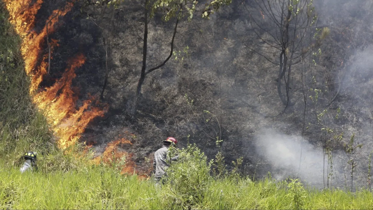 Así avanzan las labores para controlar tres grandes incendios forestales en Medellín: el alcalde Federico Gutiérrez habló de la lucha contra el fuego