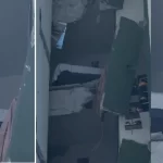 La imagen que dio la vuelta al mundo: Kiara, la perrita adoptada apenas cuatro días antes del terremoto, pasó 24 horas atrapada en un quinto piso
