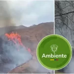Ministerio de Ambiente hace llamado urgente para prevenir incendios forestales tras terremoto de 7,4 en Colombia: estas son las recomendaciones