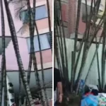 ‘Gracias a Dios estamos vivos’: la paradoja del edificio que colapsó en Cali; ¿qué hacer si ha desalojado alguno de los 500 inmuebles afectados?