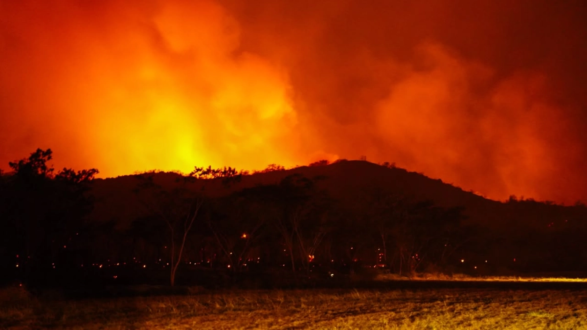 Incendios forestales en Colombia hoy sábado 22 de agosto: más de 20.000 hectáreas afectadas y autoridades investigan incendios provocados por personas