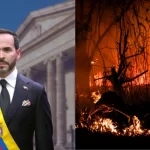 Presidente Abelardo De La Espriella confirmó control de incendio forestal en Gualanday que amenazaba gasoducto en Tolima