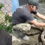El hombre que rescata animales en medio de los incendios forestales en el Tolima: ‘Es más fácil para mí cuidar que matar’