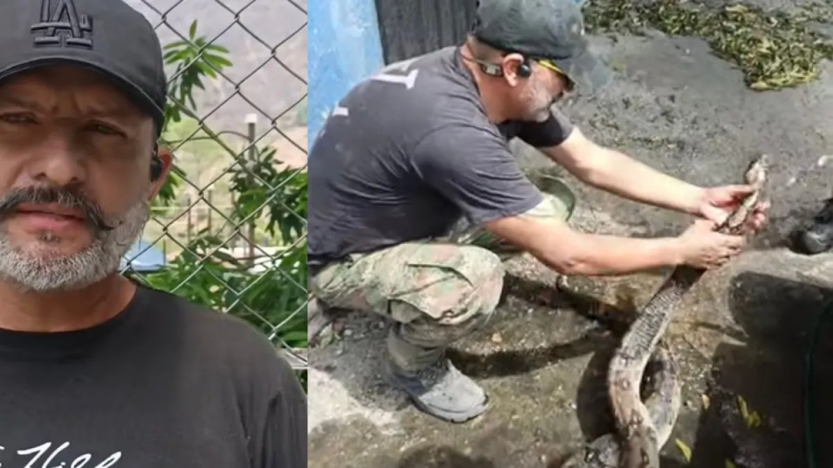 El hombre que rescata animales en medio de los incendios forestales en el Tolima: ‘Es más fácil para mí cuidar que matar’