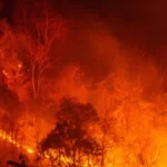 Manos criminales detrás de los incendios forestales: ‘se mezclan con los bomberos como falsos voluntarios para generar más fuego’, Lara