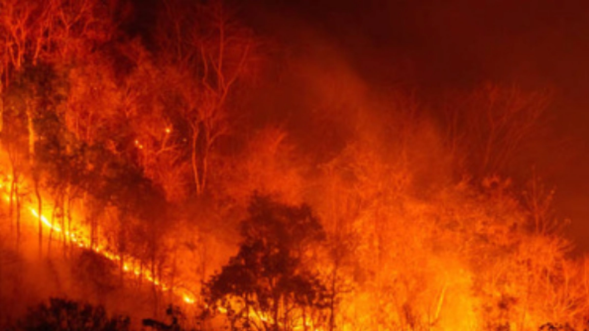 Manos criminales detrás de los incendios forestales: ‘se mezclan con los bomberos como falsos voluntarios para generar más fuego’, Lara