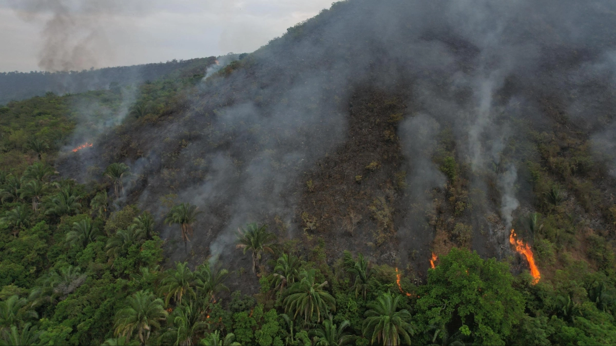 Estados Unidos entrega donación para combatir incendios forestales en Tolima, Valle y Nariño