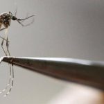 El intenso fenómeno de El Niño podría disparar casos de dengue en el Caribe colombiano: expertos alertan mayor reproducción del mosquito transmisor