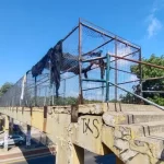 Niño atropellado en la calle 30 prende las alarmas por deterioro del puente del INEM: alcaldesa de Soledad exige intervención urgente