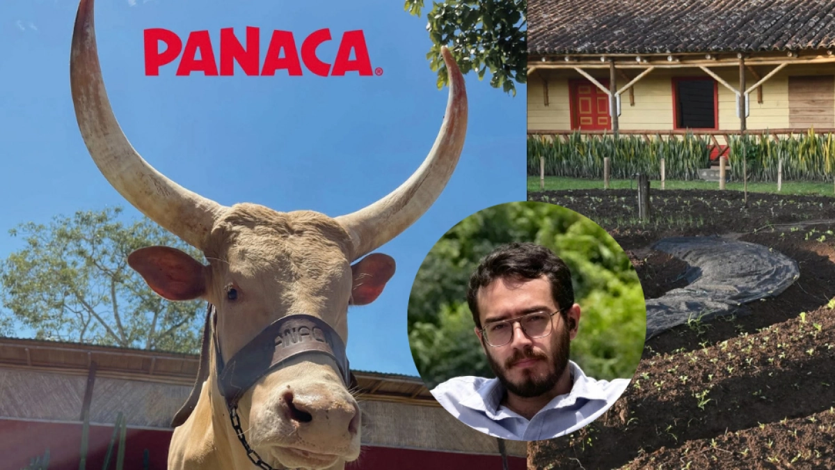 Trabajador de Panaca apareció sin vida dentro del parque en Quindío y ya hay pronunciamiento oficial: ‘Expresamos nuestras condolencias’