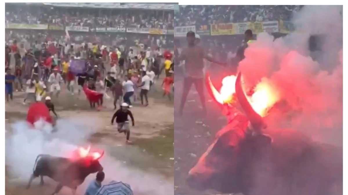 Polémica por toro con fuego en los cuernos durante una corraleja en Atlántico